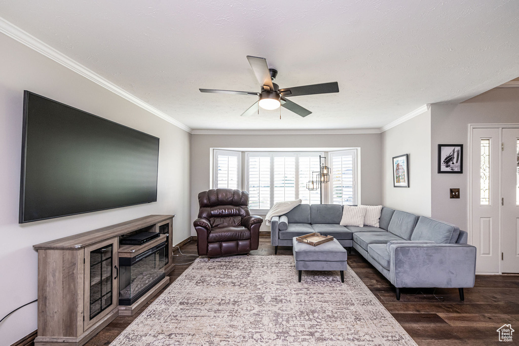 Photo 3 for MLS #2119032 at 2043 E Brady Creek Cir