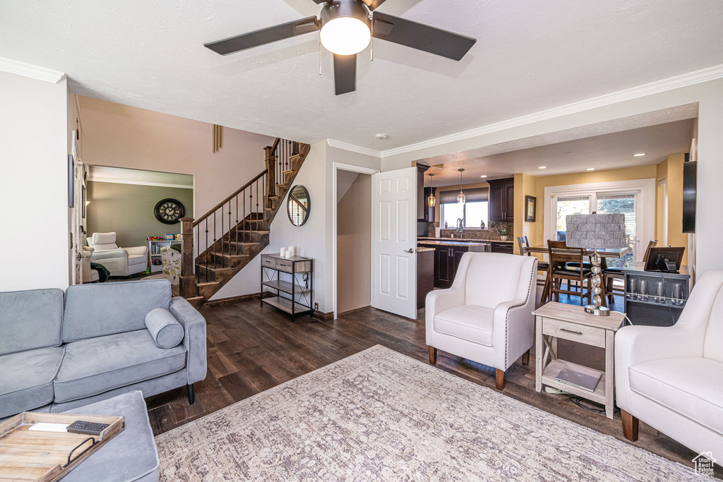 Photo 6 for MLS #2119032 at 2043 E Brady Creek Cir