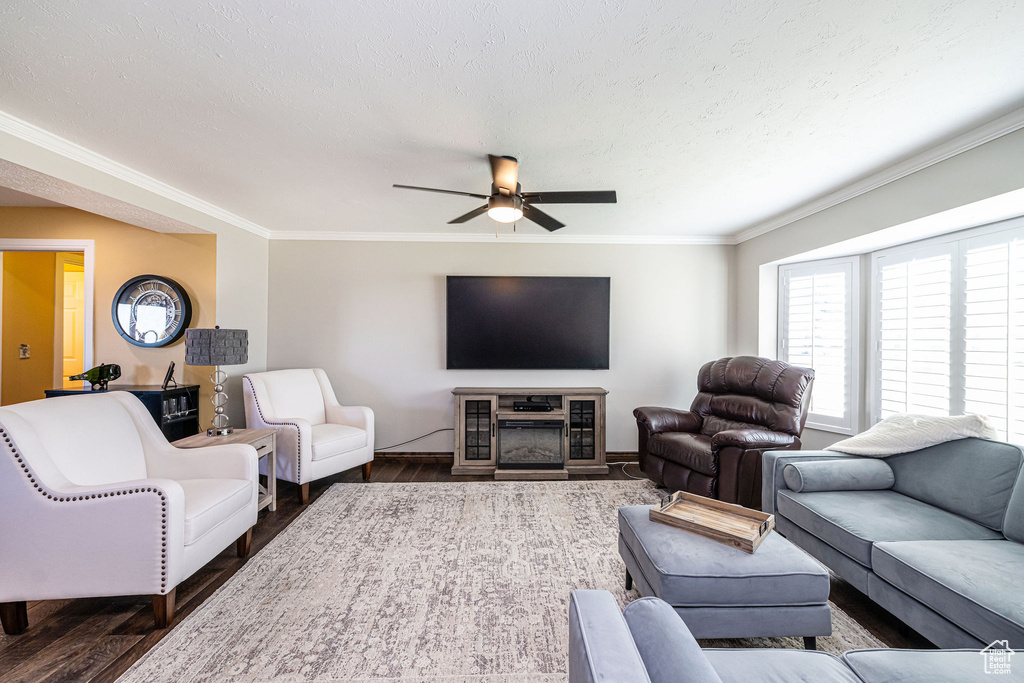 Photo 5 for MLS #2119032 at 2043 E Brady Creek Cir