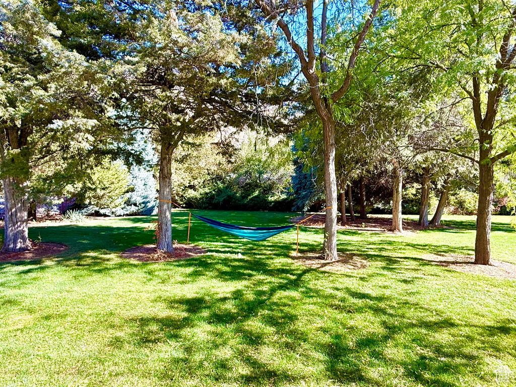 Photo 14 for MLS #2119066 at 915 E 820 North #24