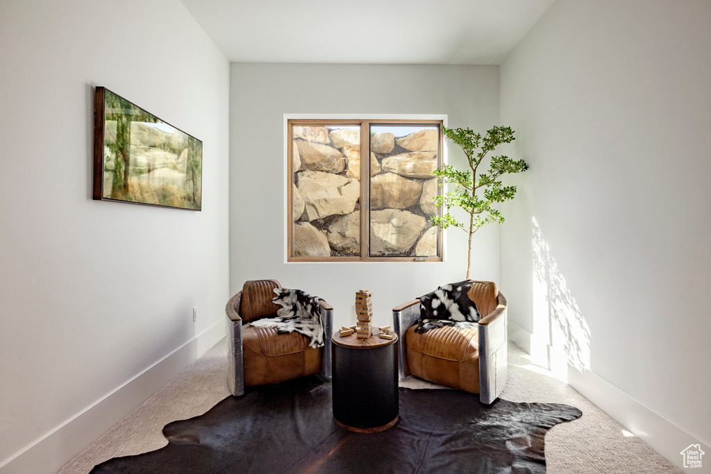 Photo 28 for MLS #2119099 at 95 W Bridlewood Ln
