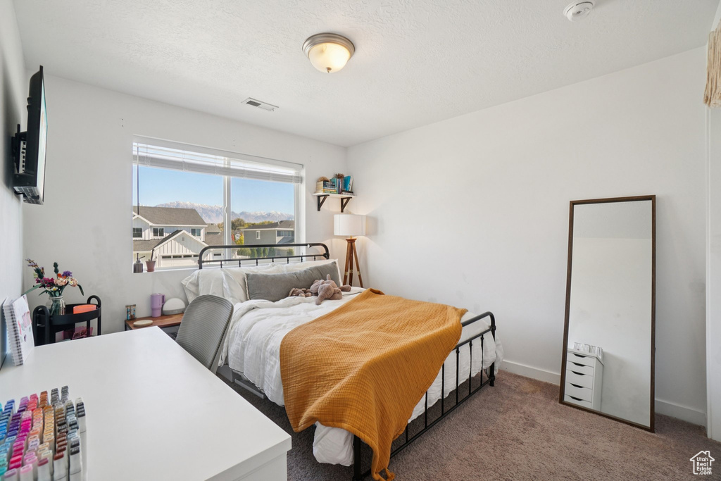 Photo 42 for MLS #2119103 at 898 S 240 West
