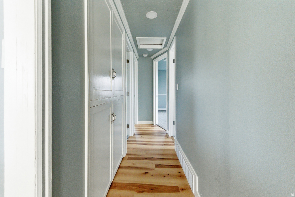 351 WASHINGTON AVE American Fork, UT 84003