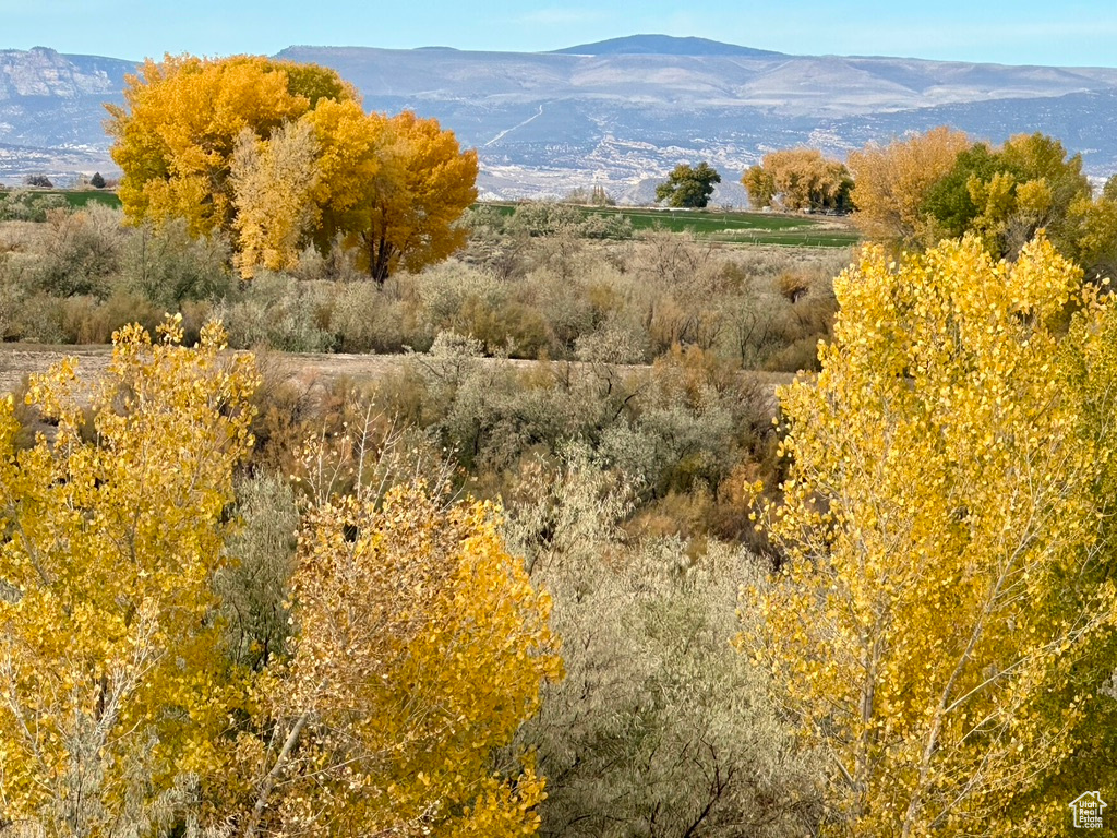 Photo 41 for MLS #2119157 at 2101 E Goose Ranch Rd