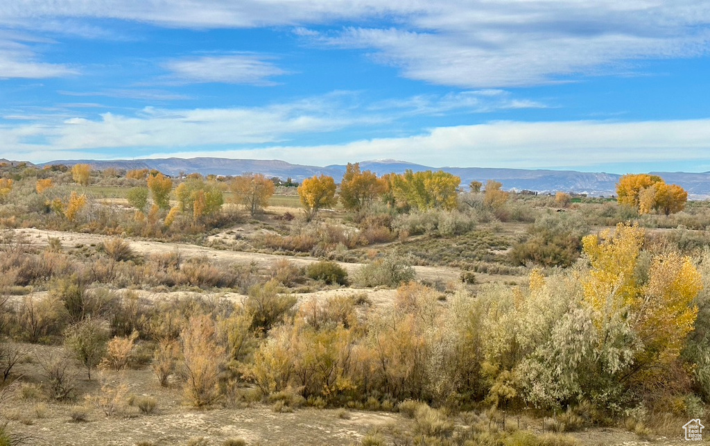 Photo 42 for MLS #2119157 at 2101 E Goose Ranch Rd