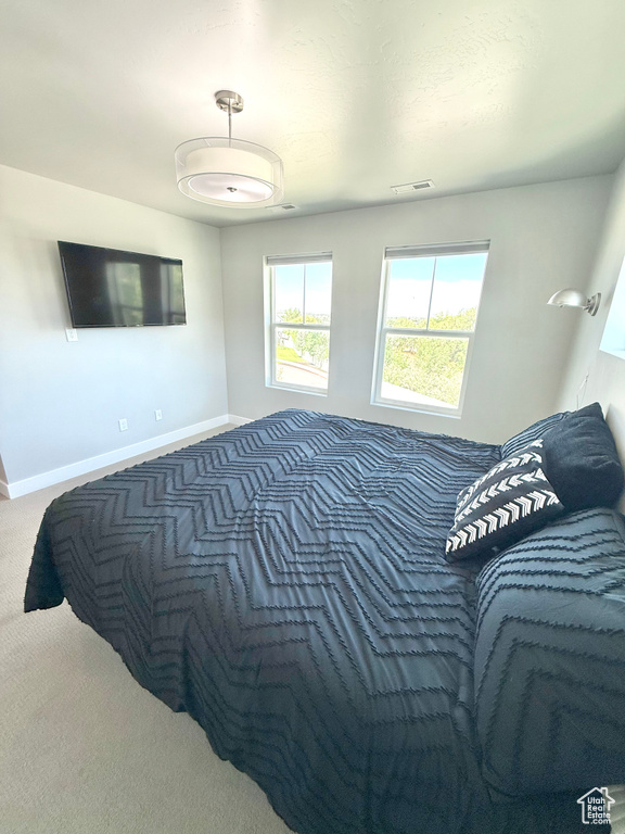 Photo 35 for MLS #2119165 at 1022 W Painted Horse Ln