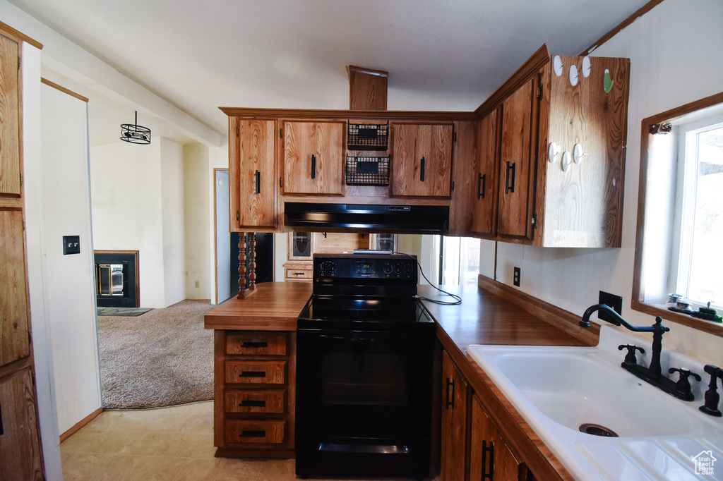 Photo 12 for MLS #2119220 at 629 E Millard St