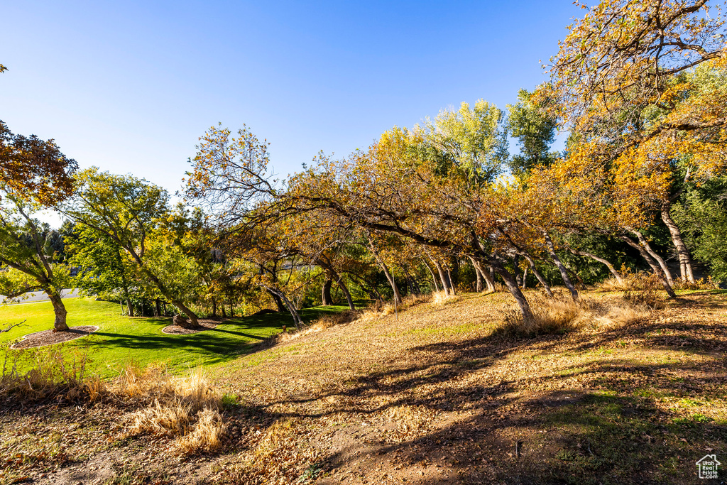 Photo 85 for MLS #2119237 at 388 Quail Run Rd