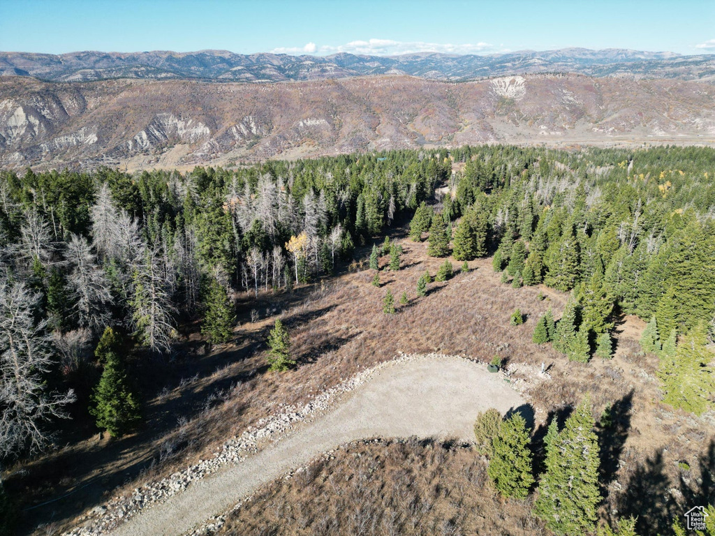 17593 S ALTA DR Spanish Fork, UT 84660