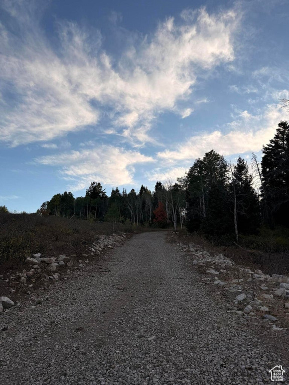 17593 S ALTA DR Spanish Fork, UT 84660