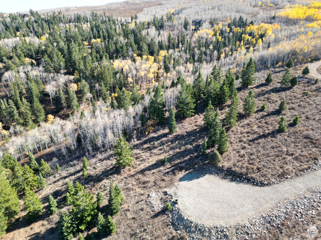 17593 S ALTA DR Spanish Fork, UT 84660