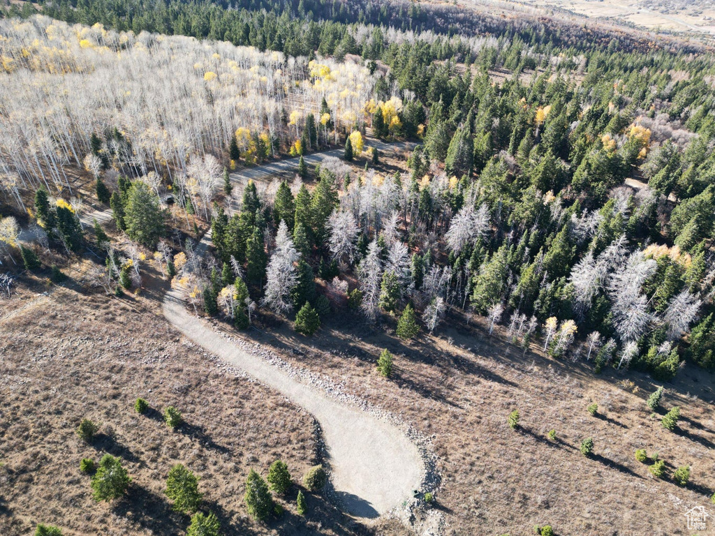 17593 S ALTA DR Spanish Fork, UT 84660