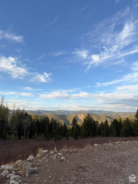 17593 S ALTA DR Spanish Fork, UT 84660