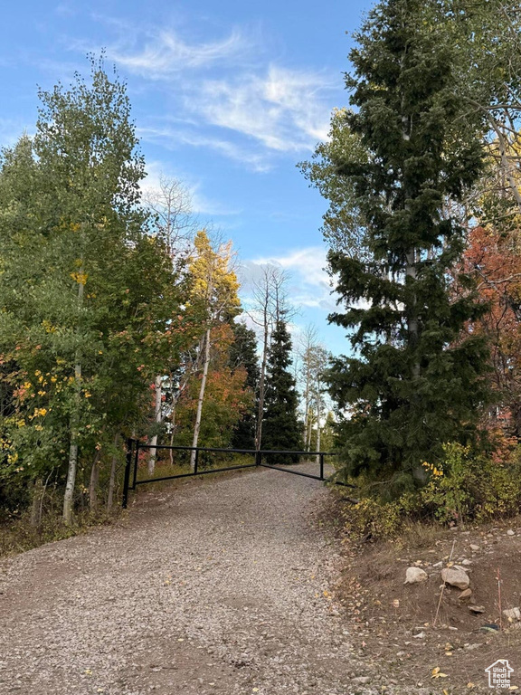 17593 S ALTA DR Spanish Fork, UT 84660