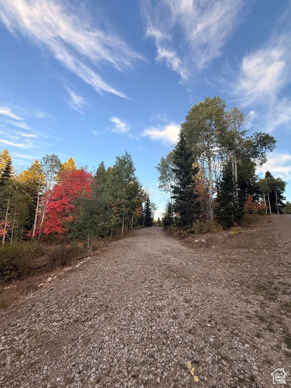 17593 S ALTA DR Spanish Fork, UT 84660