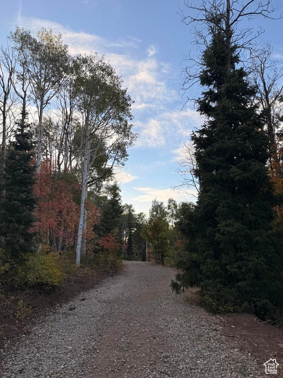 17593 S ALTA DR Spanish Fork, UT 84660