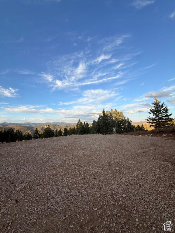 17593 S ALTA DR Spanish Fork, UT 84660