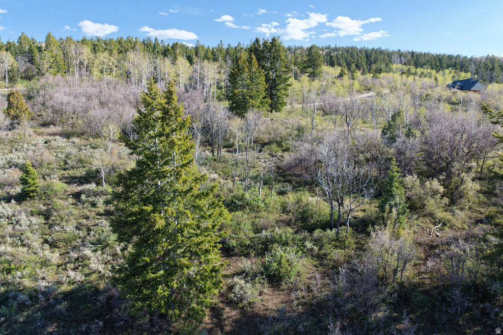 17104 S Alta Dr E #D81, Spanish Fork, UT 84660