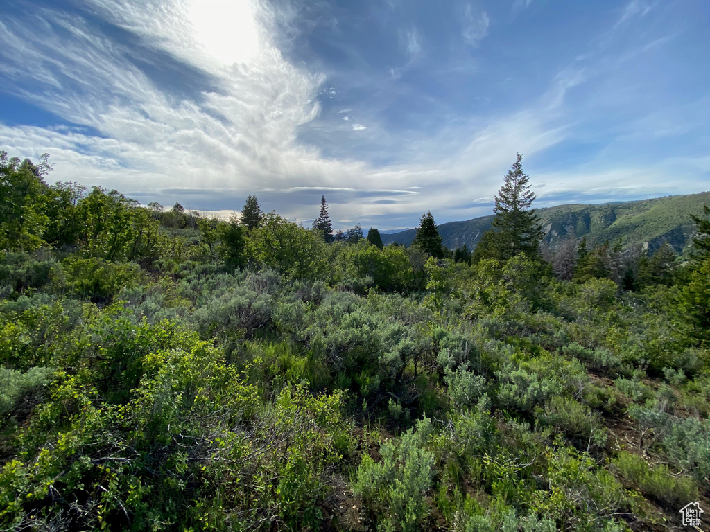  Spanish Fork, UT 84660