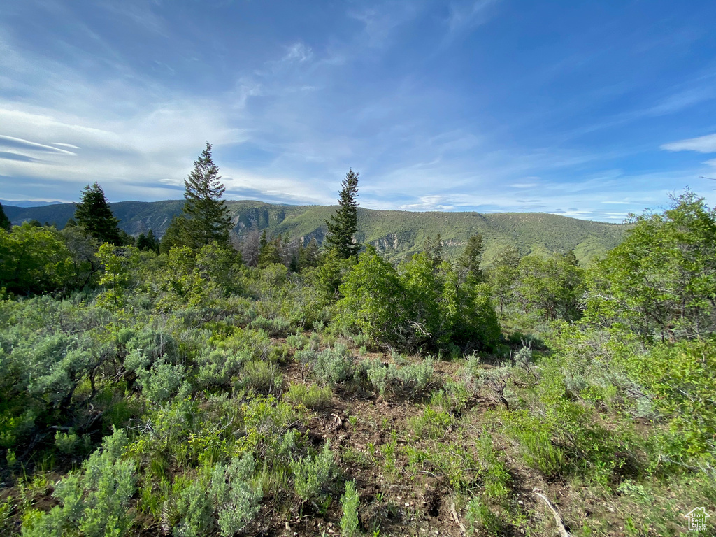  Spanish Fork, UT 84660