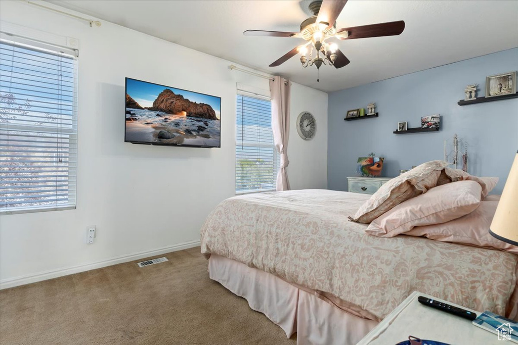 Photo 14 for MLS #2119283 at 1179 W Dun Robin Ct