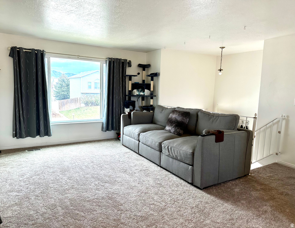 3896 S 6325 W West Valley City, UT 84128