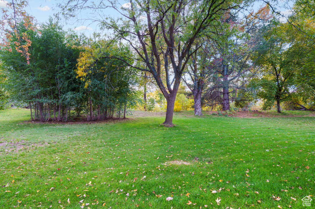 975 E 6600 S #18 Uintah, UT 84405