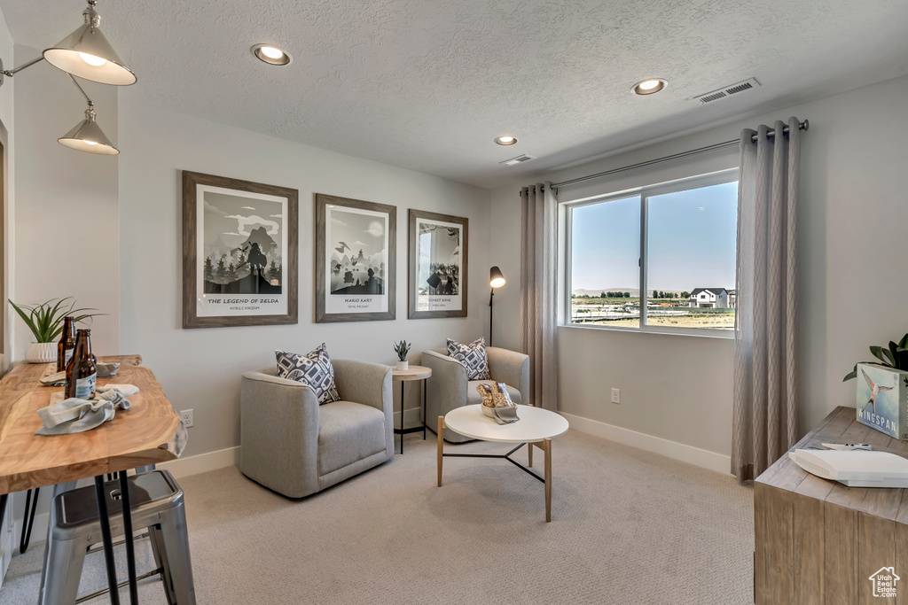 Photo 15 for MLS #2119402 at 2961 S 2425 West #1123