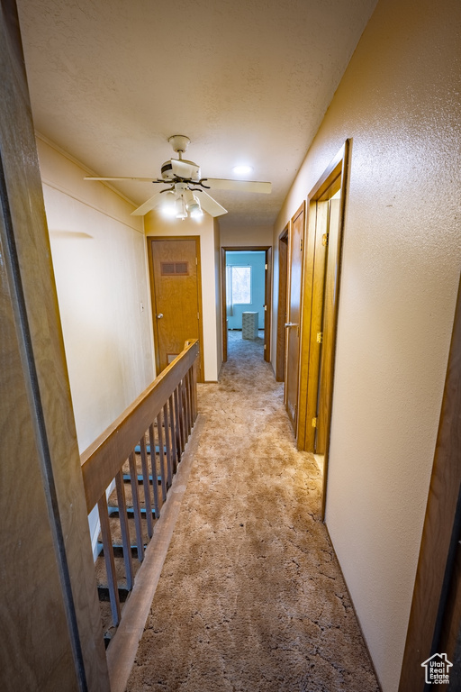 Photo 18 for MLS #2119404 at 5188 S Gravenstein Park
