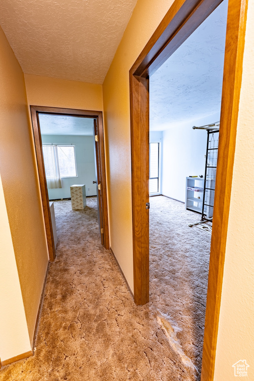 Photo 19 for MLS #2119404 at 5188 S Gravenstein Park