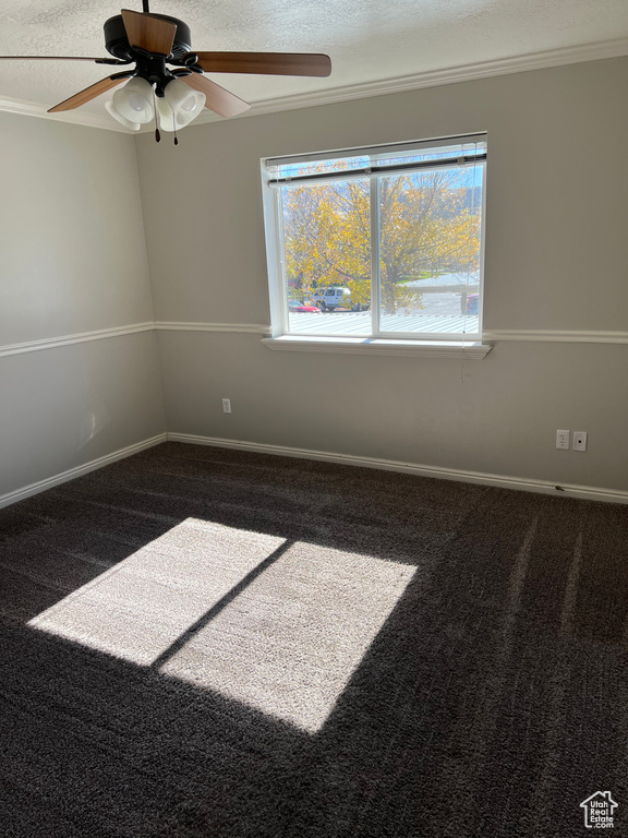Photo 10 for MLS #2119416 at 8198 N Cedar Springs Rd #T6
