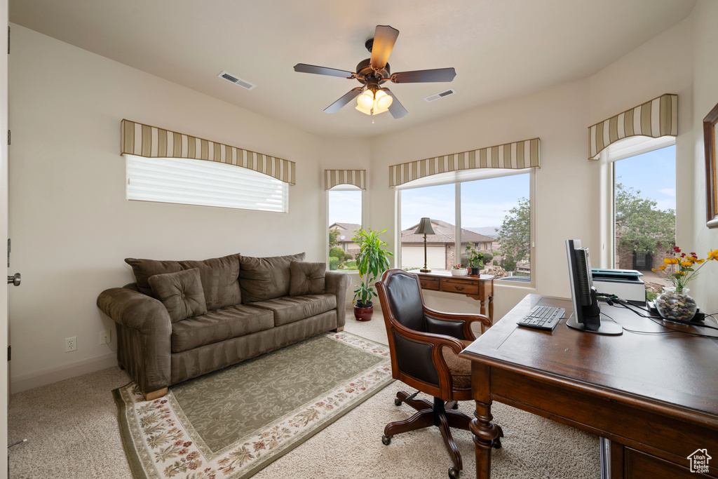 Photo 24 for MLS #2119439 at 697 W Windsor Dr