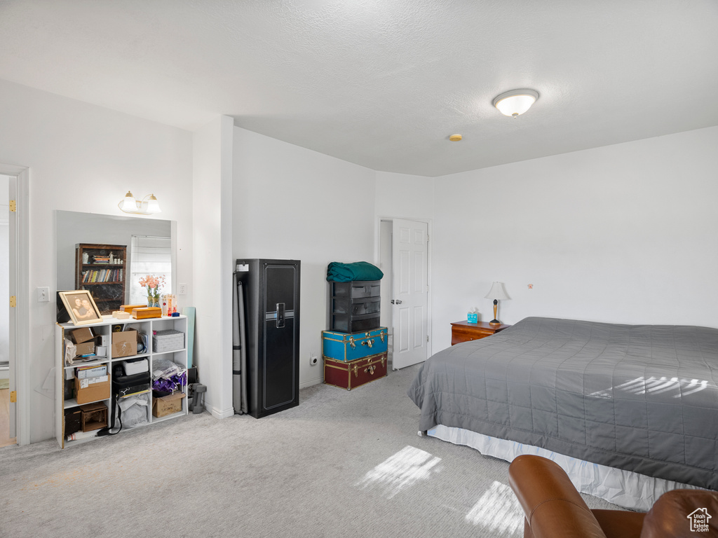 Photo 17 for MLS #2119443 at 1010 S Anna Ekins Memorial Ln