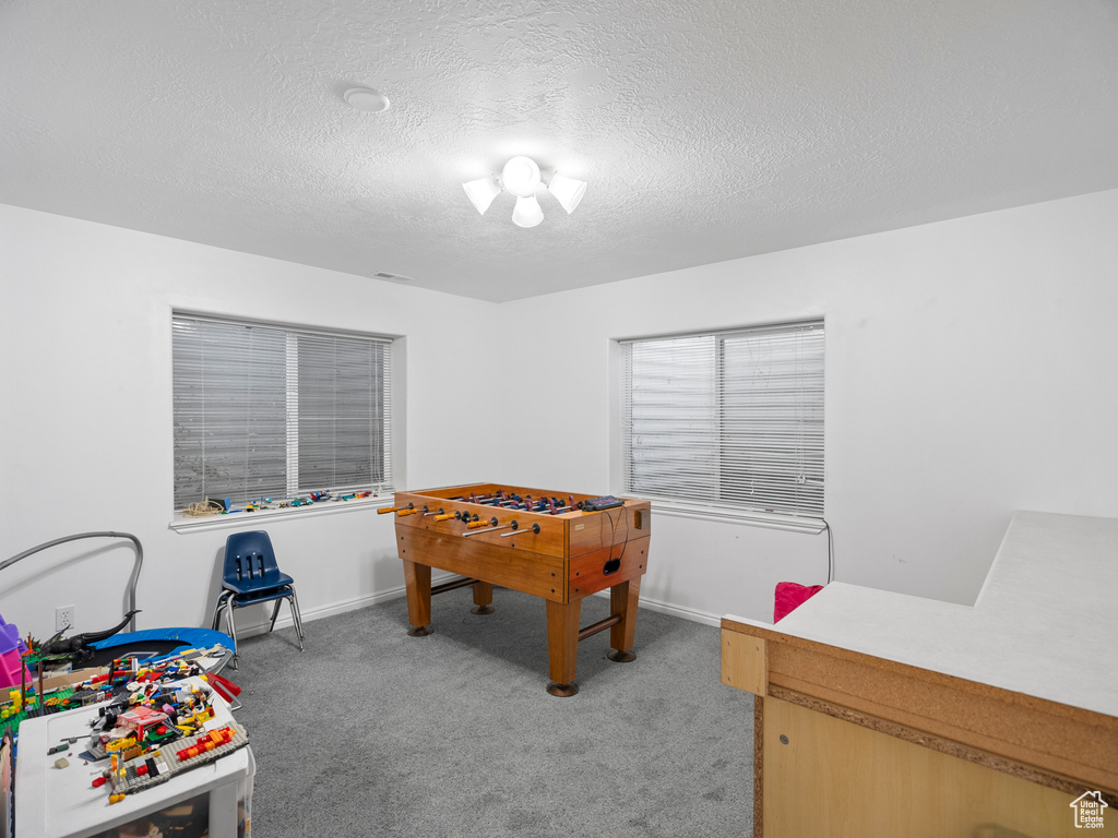 Photo 12 for MLS #2119443 at 1010 S Anna Ekins Memorial Ln