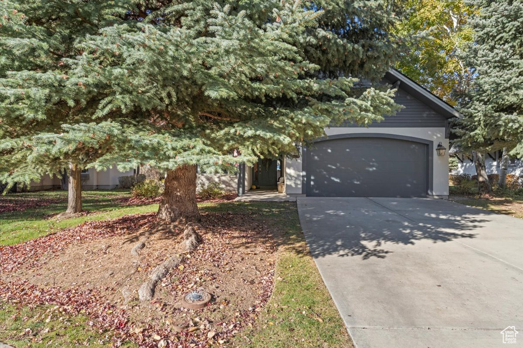 Photo 5 for MLS #2119492 at 1097 N Matterhorn Ct