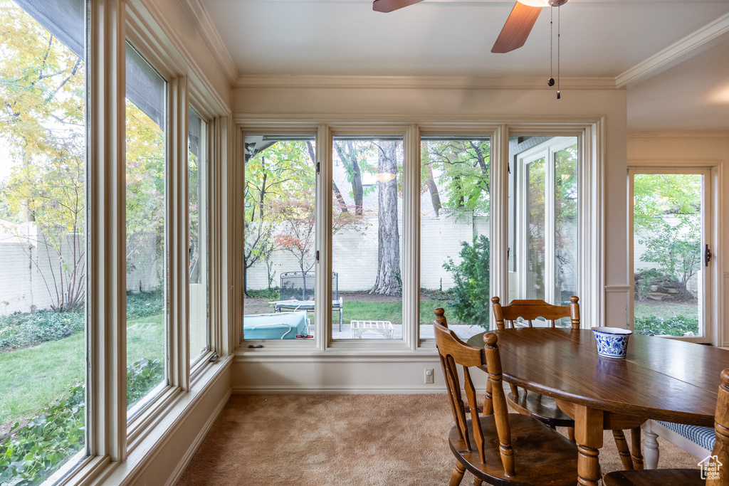 Photo 8 for MLS #2119493 at 3000 S Connor St #11