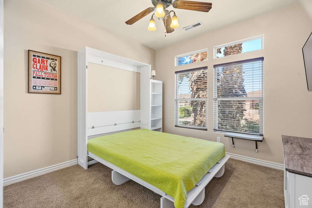 Photo 31 for MLS #2119506 at 2176 N Gunsight Dr