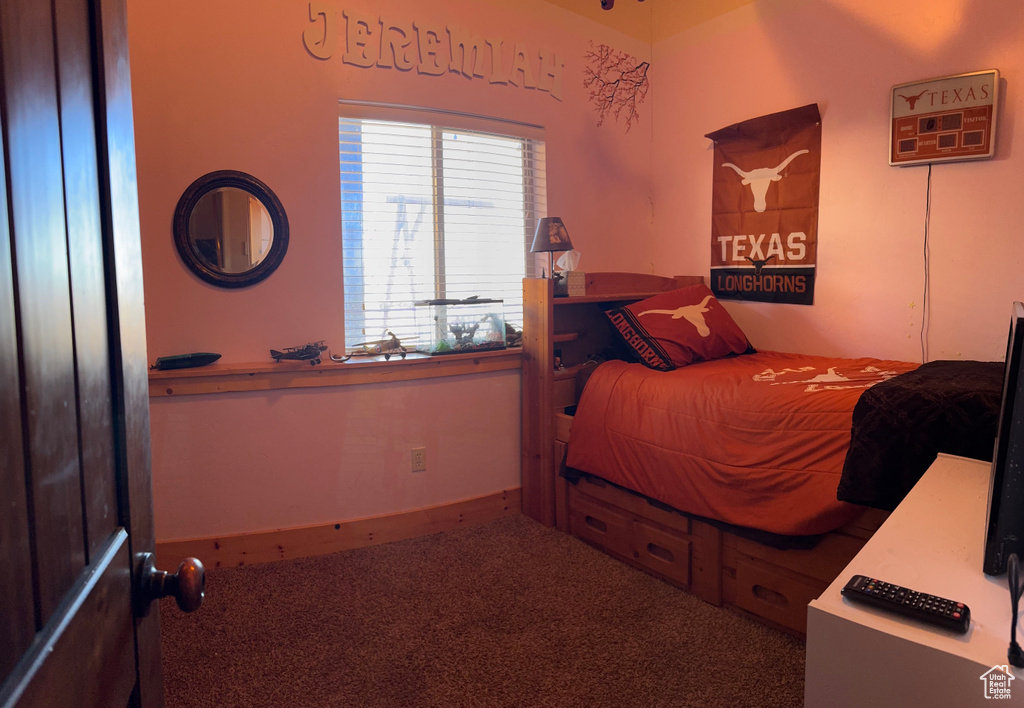 Photo 29 for MLS #2119584 at 3478 S Porcupine Cir