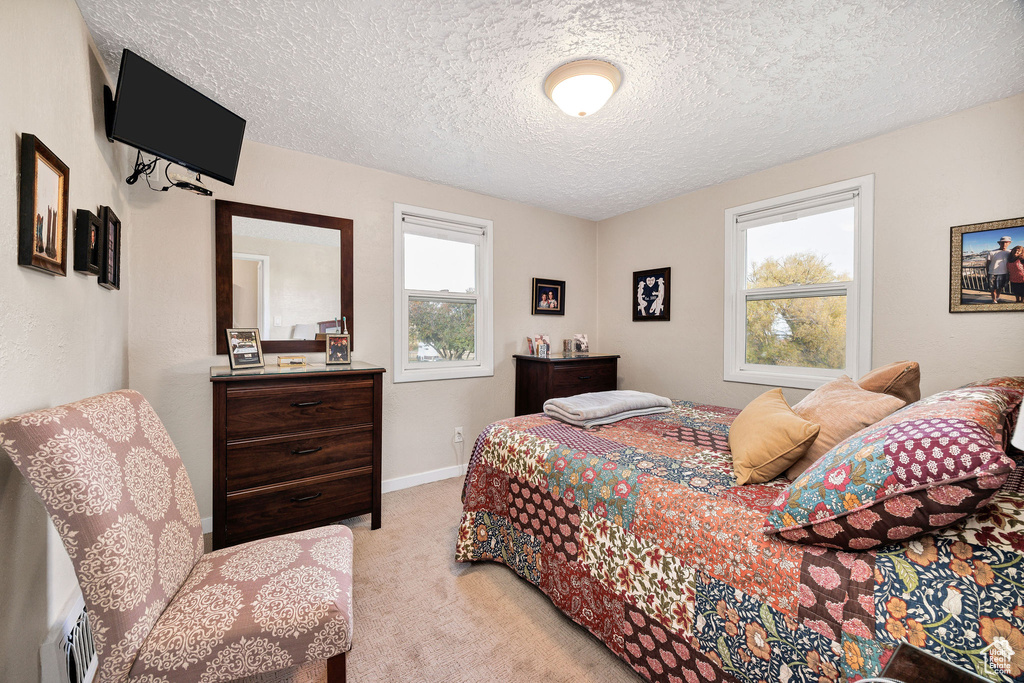 Photo 11 for MLS #2119631 at 85 W 8800 South