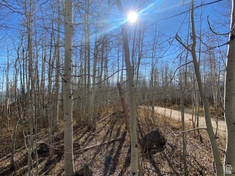 2307 S ASPEN RIDGE DR Coalville, UT 84017