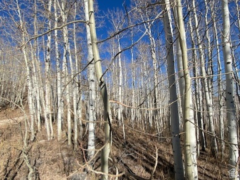 2307 S ASPEN RIDGE DR Coalville, UT 84017