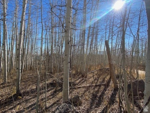 2307 S ASPEN RIDGE DR Coalville, UT 84017