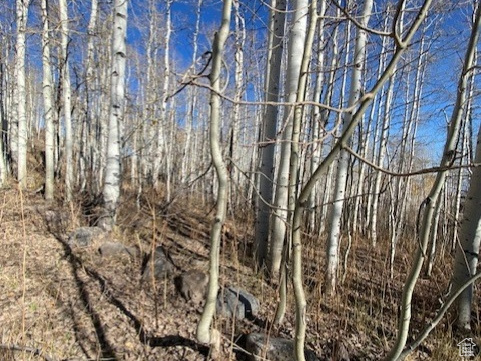 2307 S ASPEN RIDGE DR Coalville, UT 84017