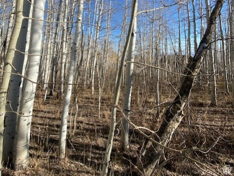 2307 S ASPEN RIDGE DR Coalville, UT 84017