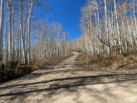 2307 S ASPEN RIDGE DR Coalville, UT 84017