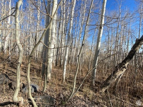 2307 S ASPEN RIDGE DR Coalville, UT 84017