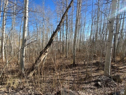 2307 S ASPEN RIDGE DR Coalville, UT 84017