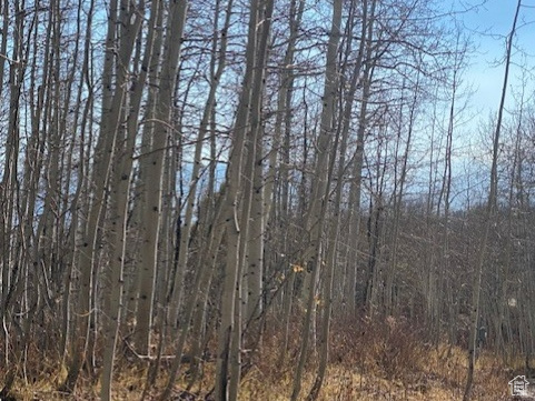 2307 S ASPEN RIDGE DR Coalville, UT 84017