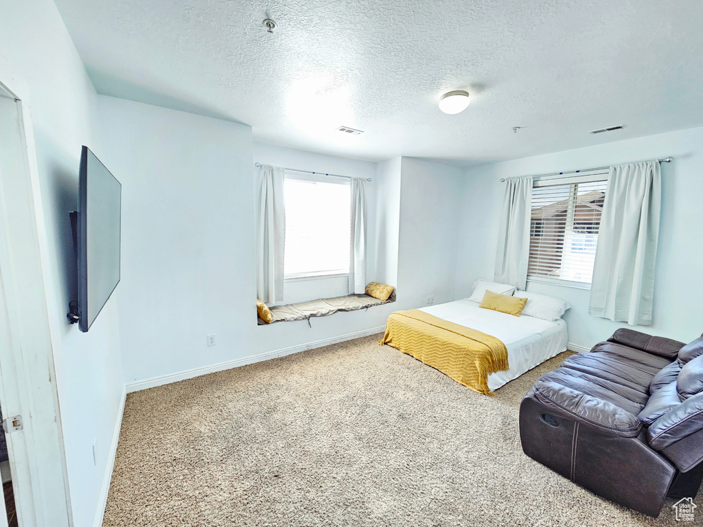 Photo 12 for MLS #2119737 at 7093 S Greensand Dr