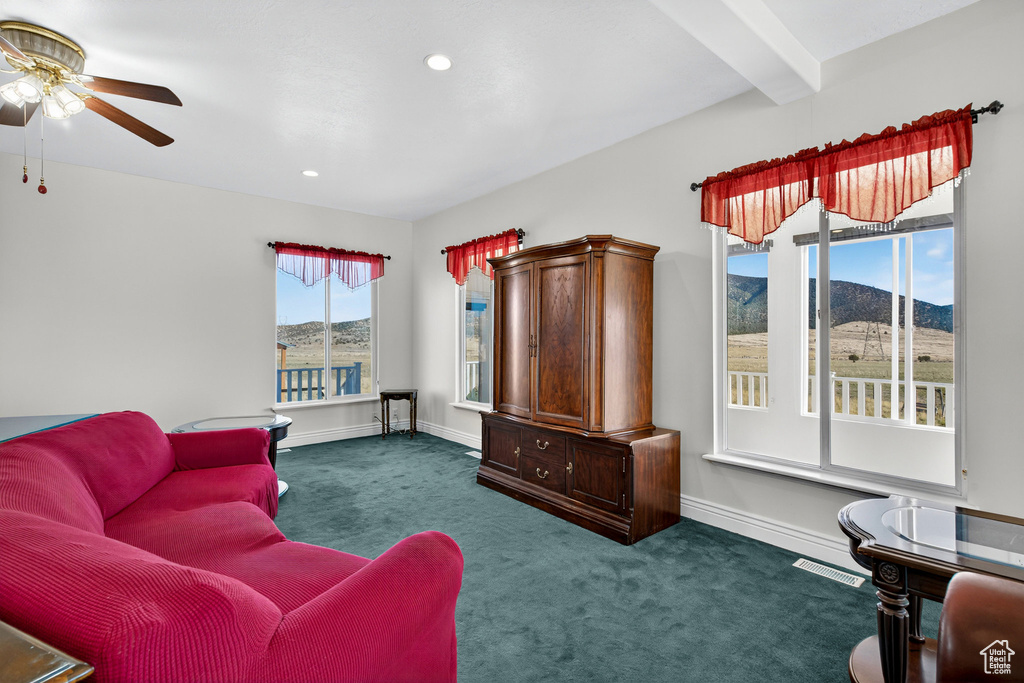 Photo 21 for MLS #2119739 at 4768 E Hickman Canyon Rd